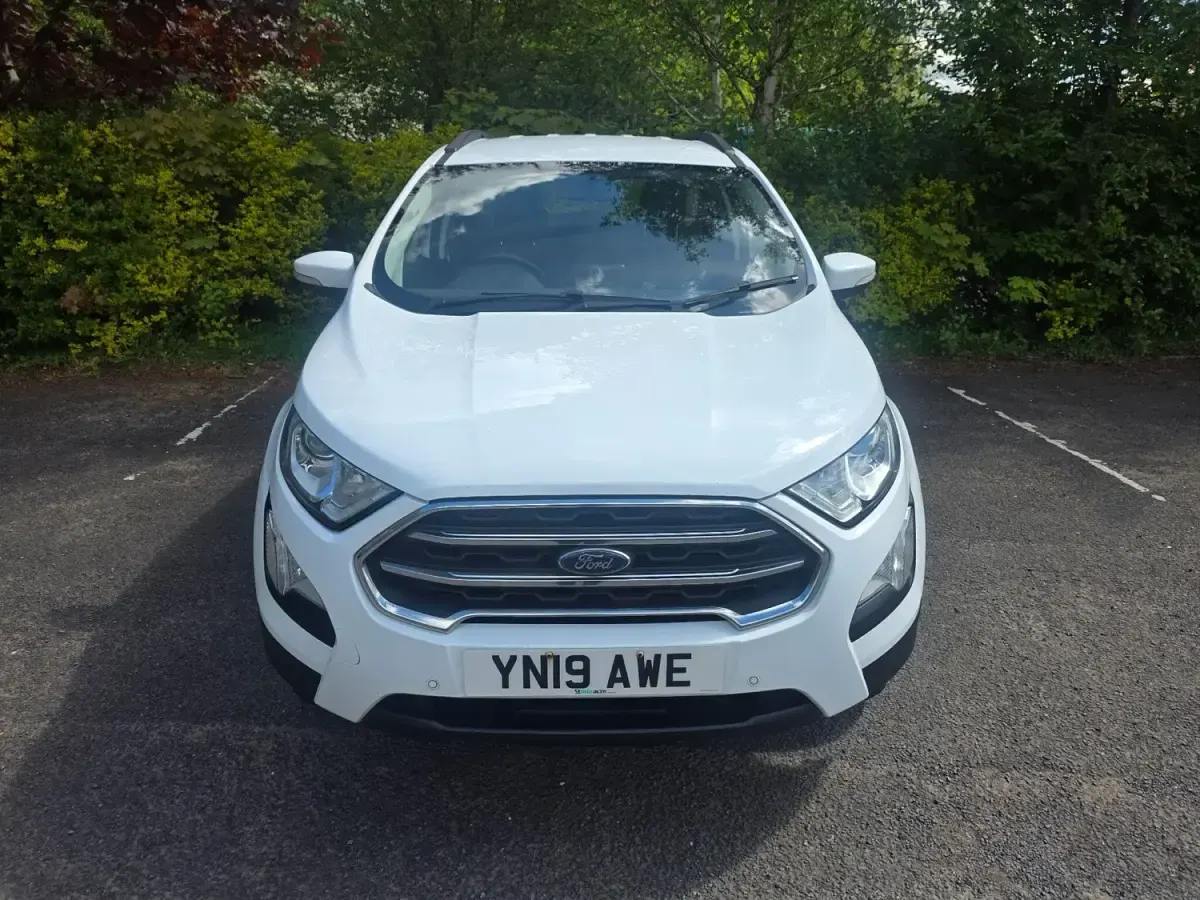 Second-hand Ford Ecosport Zetec 100 CP (73 kW) 2019 Alb SUV
