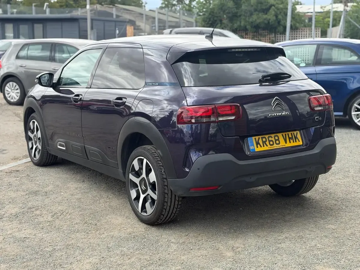 Used Citroën C4 Cactus Flair 110 HP (80 kW) 2018 Mauve/purple Hatchback