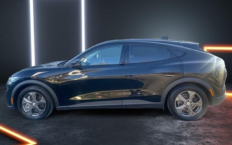 Used Ford Mustang Standard Range 269 HP (197 kW) 2021 Black Estate