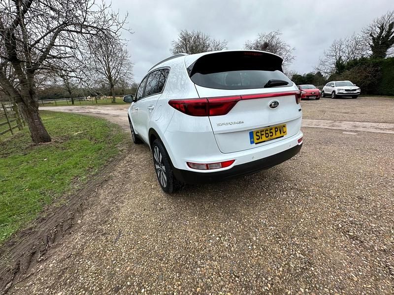 Used Kia Sportage 2016 White SUV