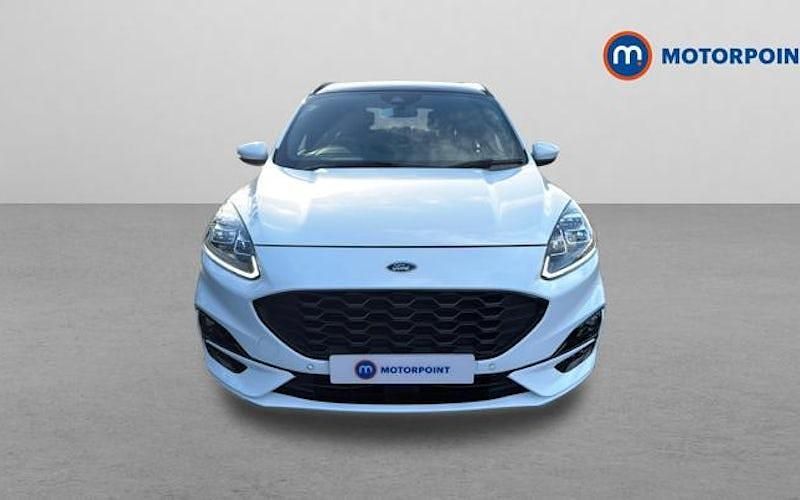 Used Ford Kuga ST-Line X 190 HP (139 kW) 2023 White SUV