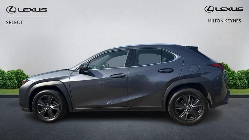 Used Lexus UX 300h 2025 Grey SUV
