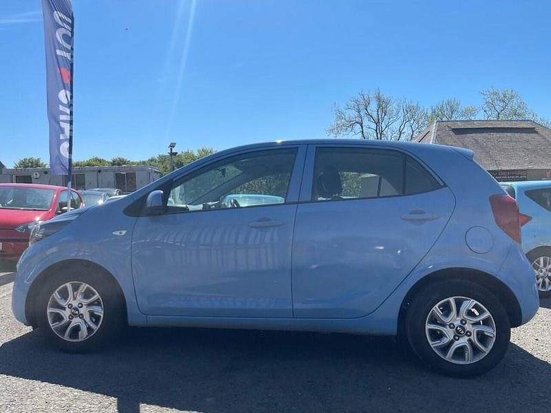 Used Kia Picanto 83 HP (61 kW) 2020 Blue Hatchback