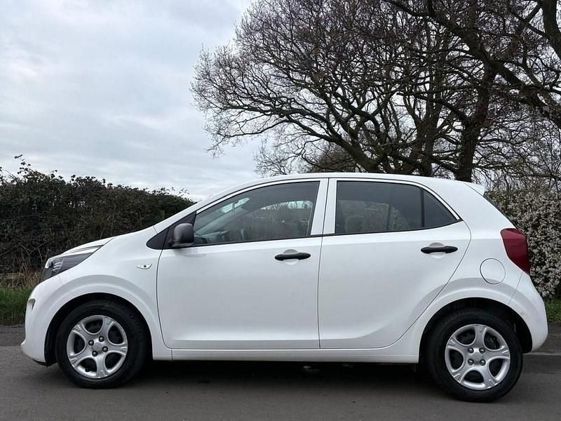 Used Kia Picanto 66 HP (48 kW) 2023 White Hatchback