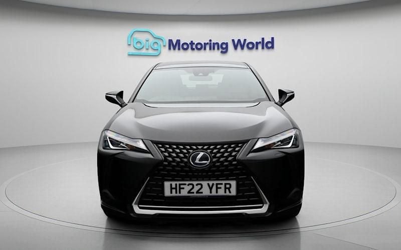 Used Lexus UX 250h 184 HP (135 kW) 2024 SUV
