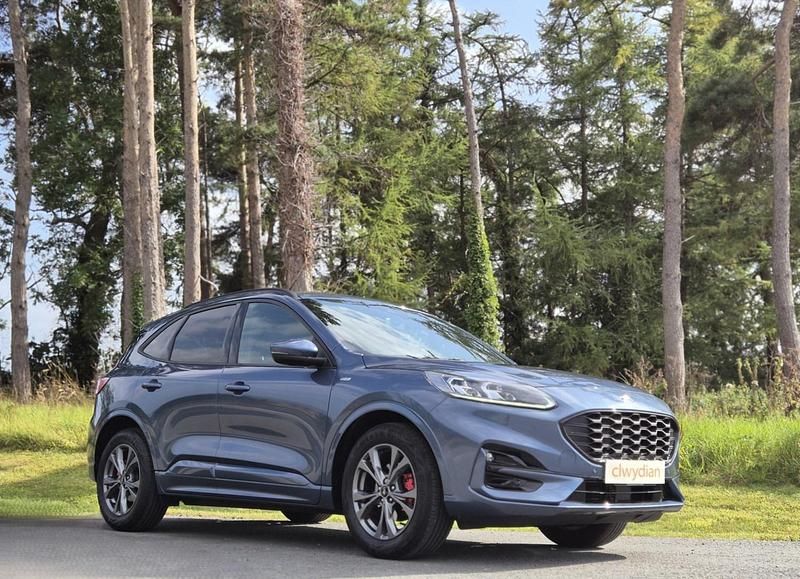 Used Ford Kuga ST-Line 150 HP (110 kW) 2022 Blue SUV