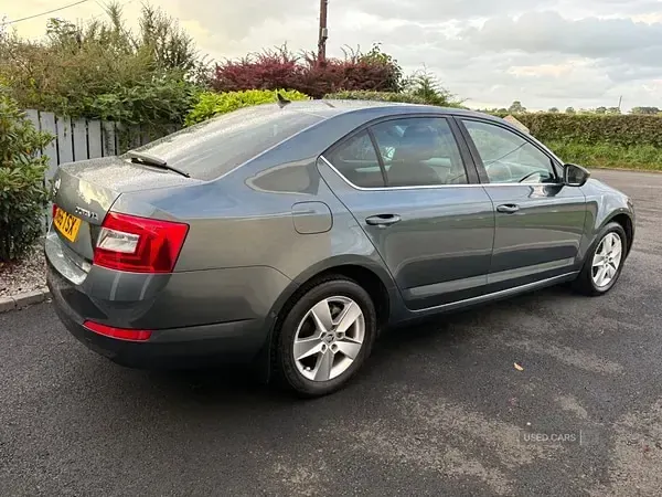 Used Skoda Octavia Business Line 110 HP (80 kW) 2016 Grey Estate