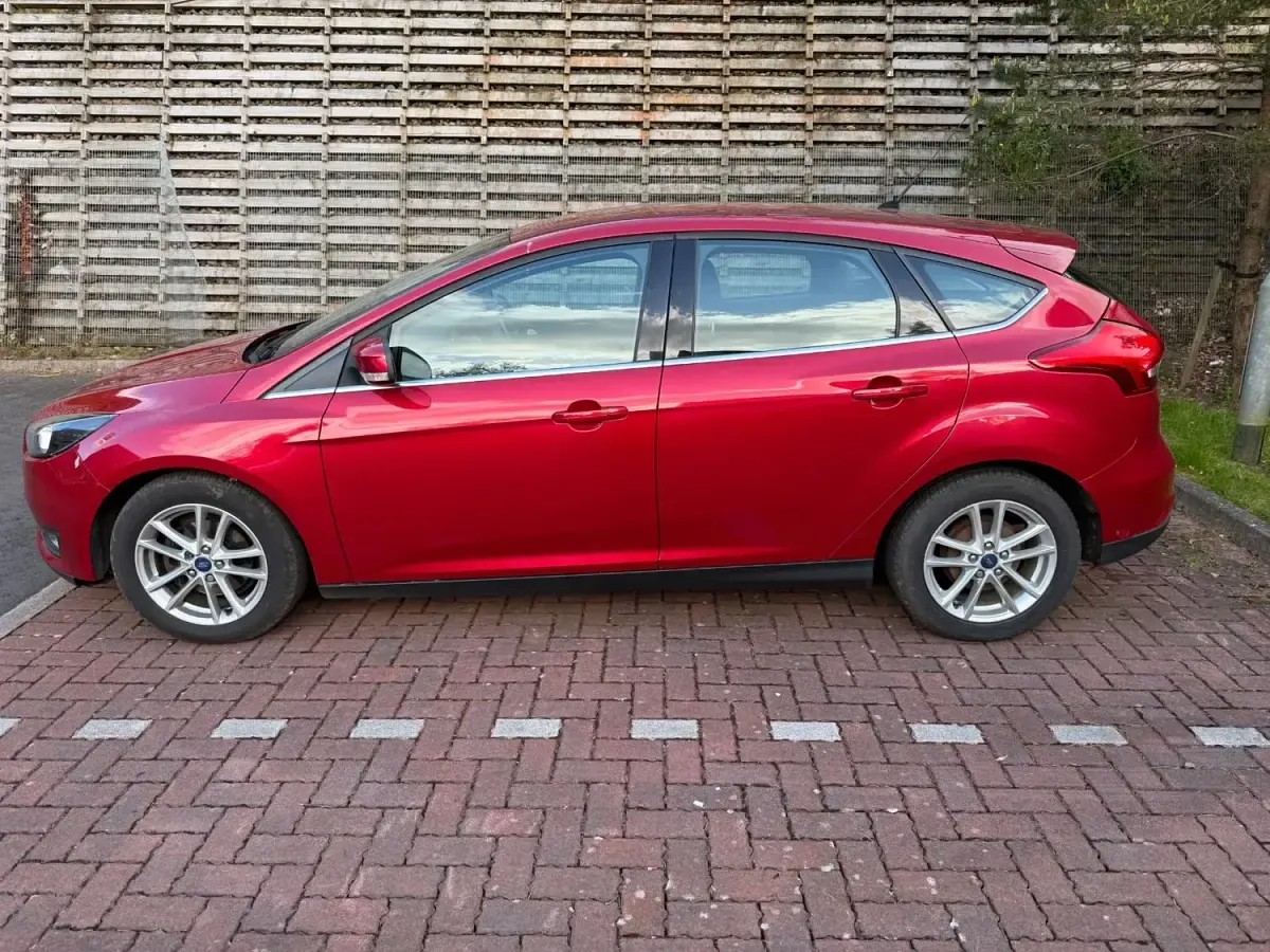 Usado Ford Focus Zetec 2016 Vermelho Citadino