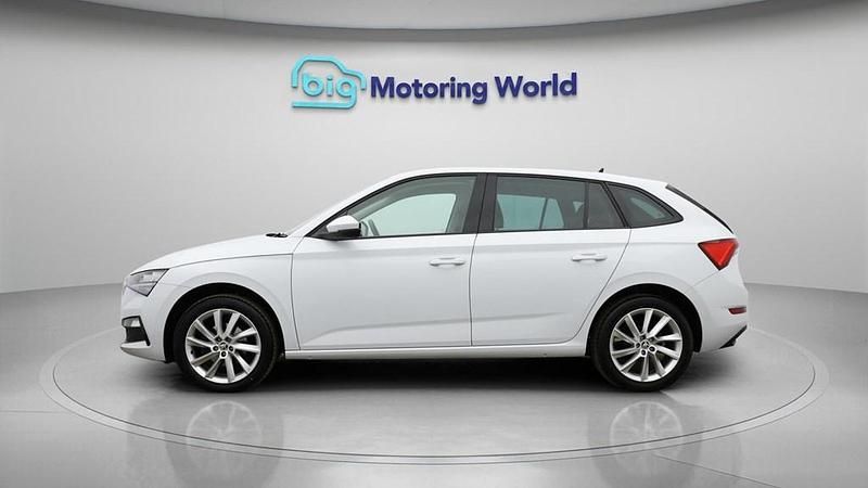 Used Skoda Scala SE L 110 HP (80 kW) 2023 White Hatchback