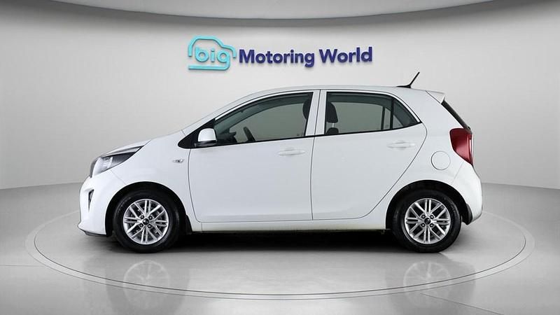 Used Kia Picanto 66 HP (48 kW) 2021 White Hatchback