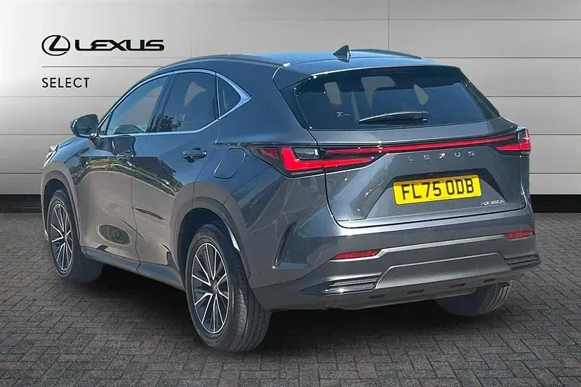 Used Lexus NX350h 245 HP (180 kW) 2025 Grey SUV