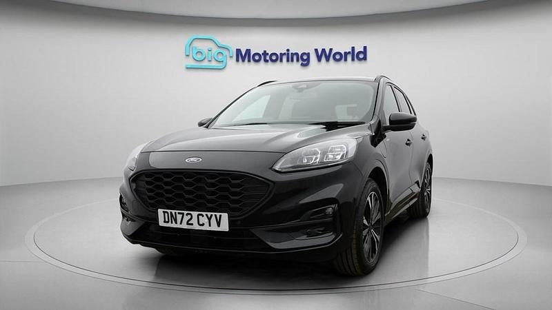 Used Ford Kuga ST-Line X 225 HP (165 kW) 2022 Black SUV