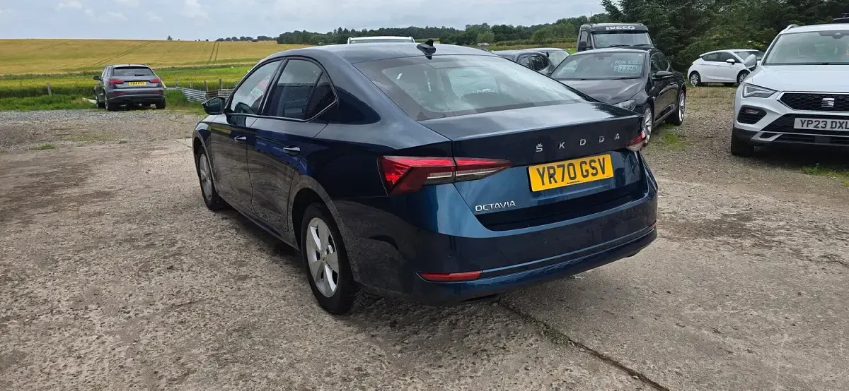 Used Skoda Octavia SE First Edition 150 HP (110 kW) 2020 Blue Hatchback
