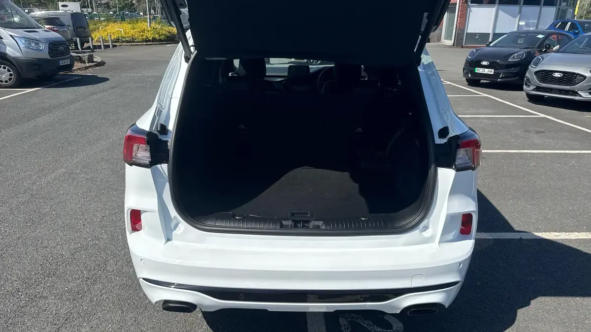 Used Ford Kuga 190 HP (139 kW) 2023 White SUV