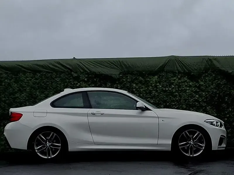 Used BMW 220 M Sport 190 HP (139 kW) 2018 Mineral white metallic Coupe