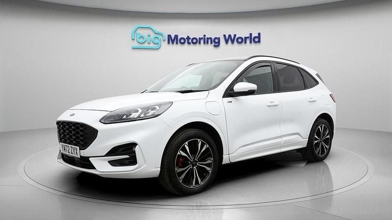 Used Ford Kuga ST-Line X 225 HP (165 kW) 2023 White SUV