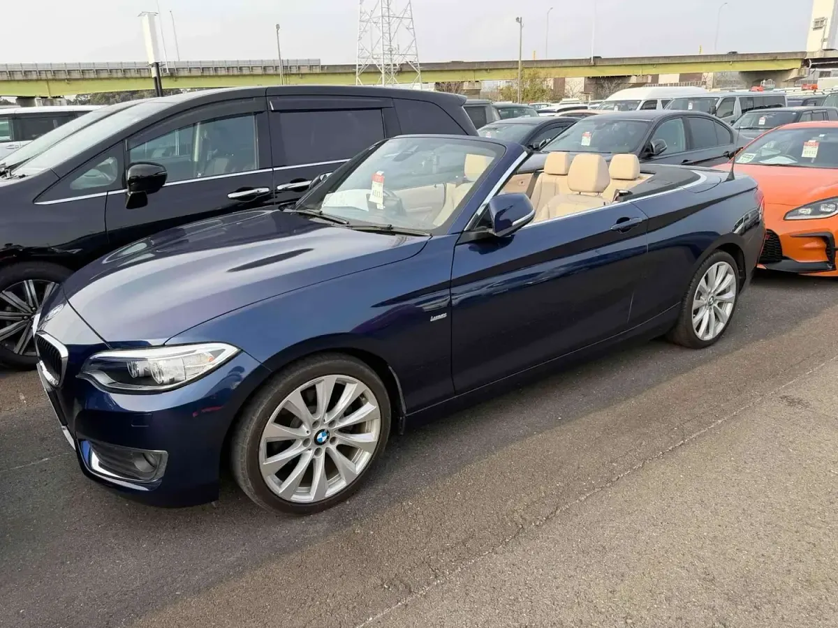 Used BMW 220 Luxury Line 184 HP (135 kW) 2016 Blue Cabriolet