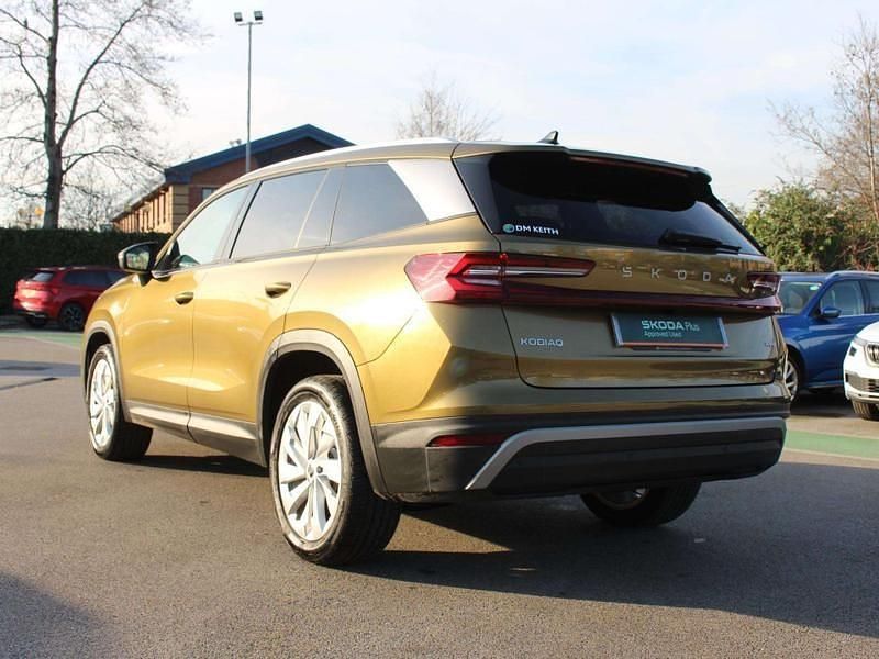 Used Skoda Kodiaq SE L 150 HP (110 kW) 2024 Gold SUV