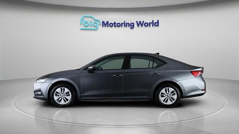 Used Skoda Octavia SE Technology 110 HP (80 kW) 2024 Grey Hatchback