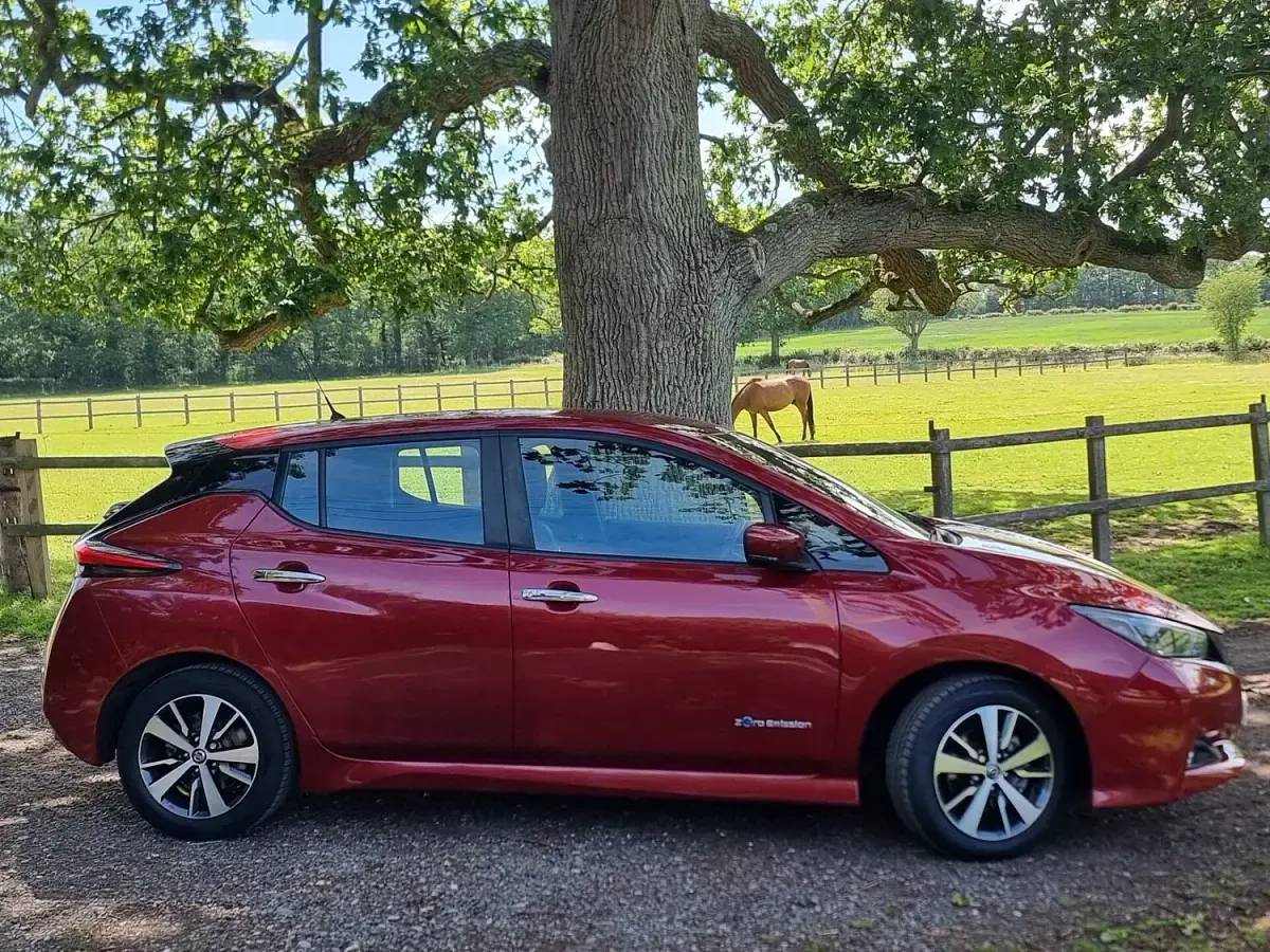 Used Nissan Leaf Acenta 2018 Red Hatchback
