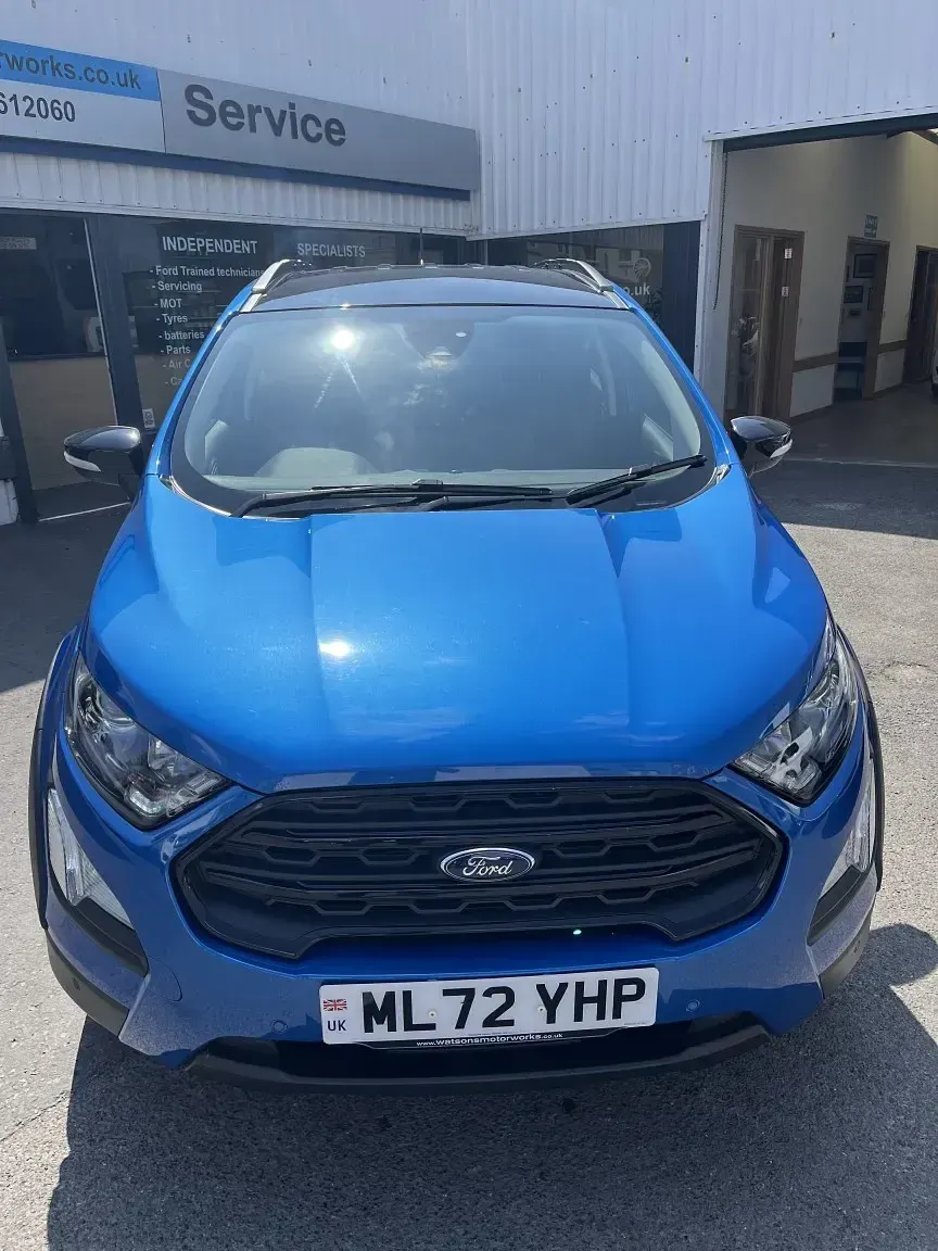 Used Ford Ecosport Active 125 HP (91 kW) 2022 Blue SUV