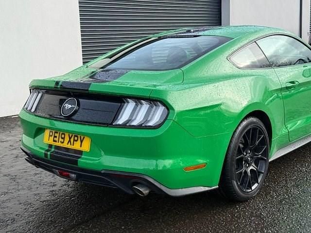 Used Ford Mustang Fastback 290 HP (213 kW) 2019 Green Coupe