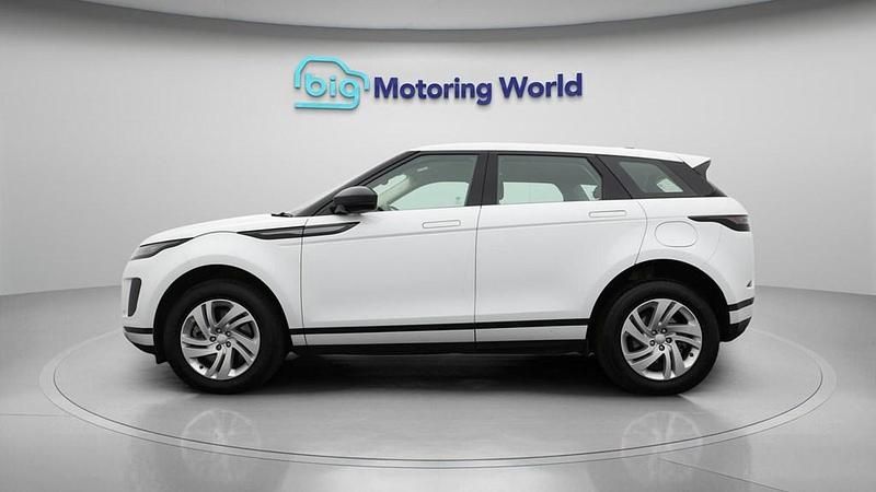Used Land Rover Range Rover evoque S 269 HP (197 kW) 2024 White SUV