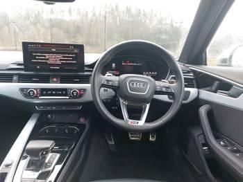 Used Audi RS4 Comfort 450 HP (330 kW) 2023 White Estate