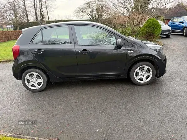 Used Kia Picanto 66 HP (48 kW) 2022 Black Hatchback