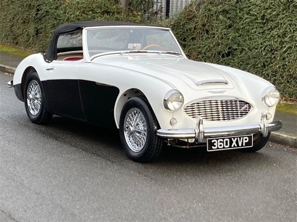 White black Used 1959 Austin Healey 100/6 Cabriolet | £42,500 - Image 1/1