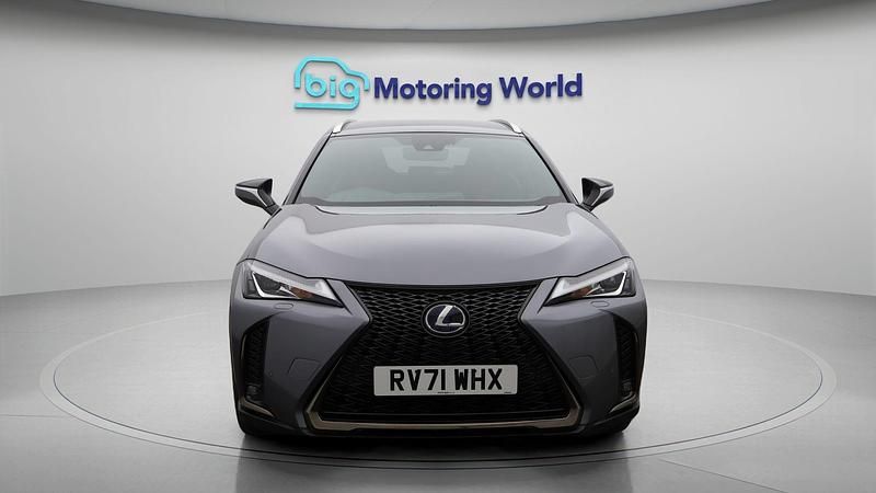 Used Lexus UX Sport Line 184 HP (135 kW) 2021 Grey SUV
