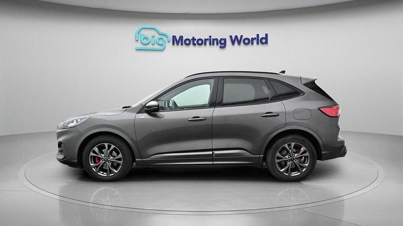 Used Ford Kuga ST-Line 150 HP (110 kW) 2023 Grey SUV