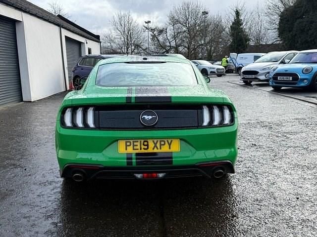 Used Ford Mustang Fastback 290 HP (213 kW) 2019 Green Coupe