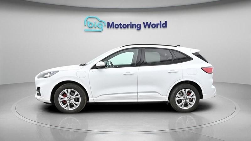 Used Ford Kuga ST-Line 225 HP (165 kW) 2022 White SUV