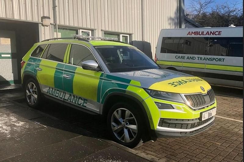 Used Skoda Kodiaq SE L 190 HP (139 kW) 2019 Silver SUV