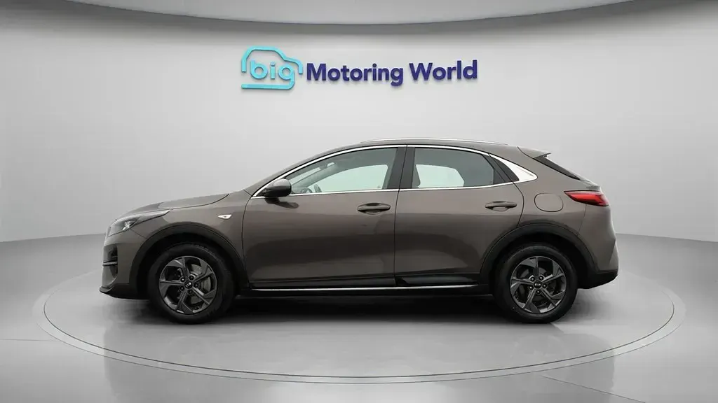 Used Kia XCeed 118 HP (86 kW) 2020 Brown SUV