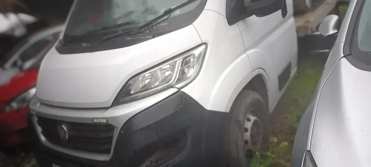 Used Fiat Ducato 2019 White Van