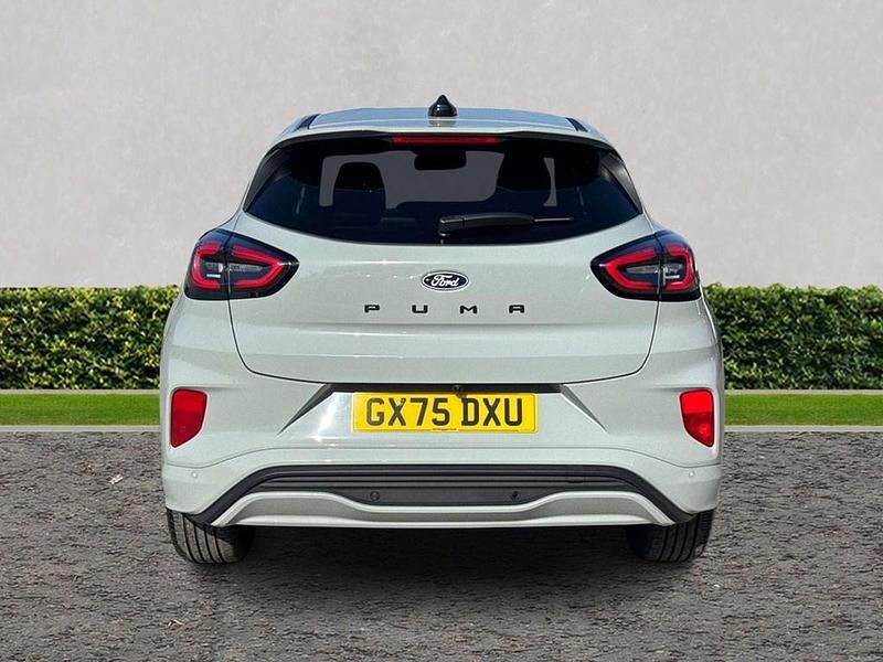 Used Ford Puma ST-Line X 125 HP (91 kW) 2025 Cactus grey SUV