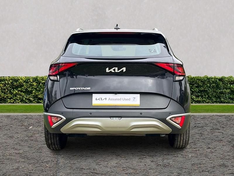 Used Kia Sportage 2024 Black SUV
