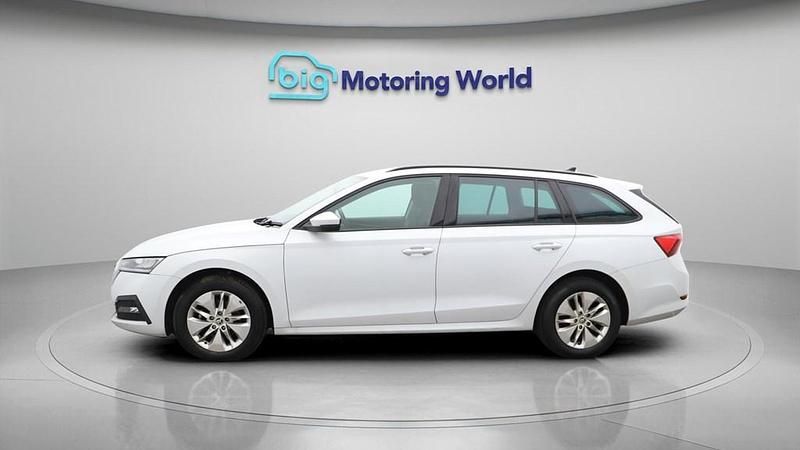 Used Skoda Octavia SE Technology 110 HP (80 kW) 2022 White Estate