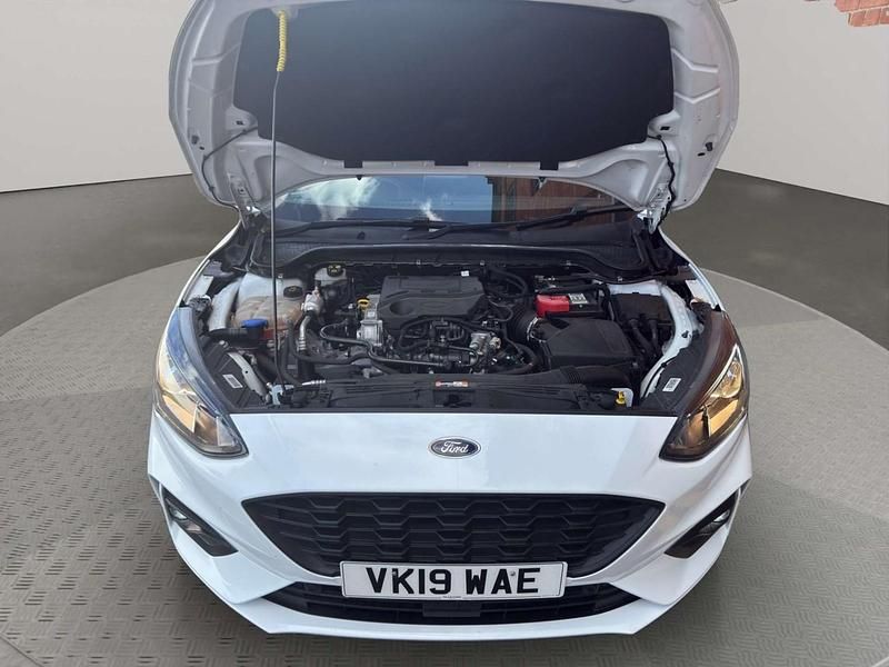Used Ford Focus ST-Line 125 HP (91 kW) 2019 White Hatchback