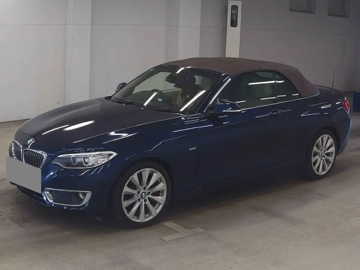 Used BMW 220 Luxury Line 184 HP (135 kW) 2016 Blue Cabriolet