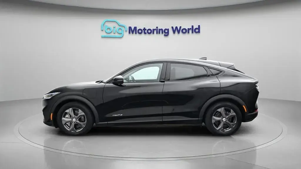 Used Ford Mustang Mach-E Standard Range 197 kW (269 HP) 2024 SUV