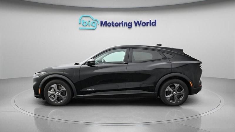 Used Ford Mustang Mach-E Extended Range 216 kW (294 HP) 2023 SUV