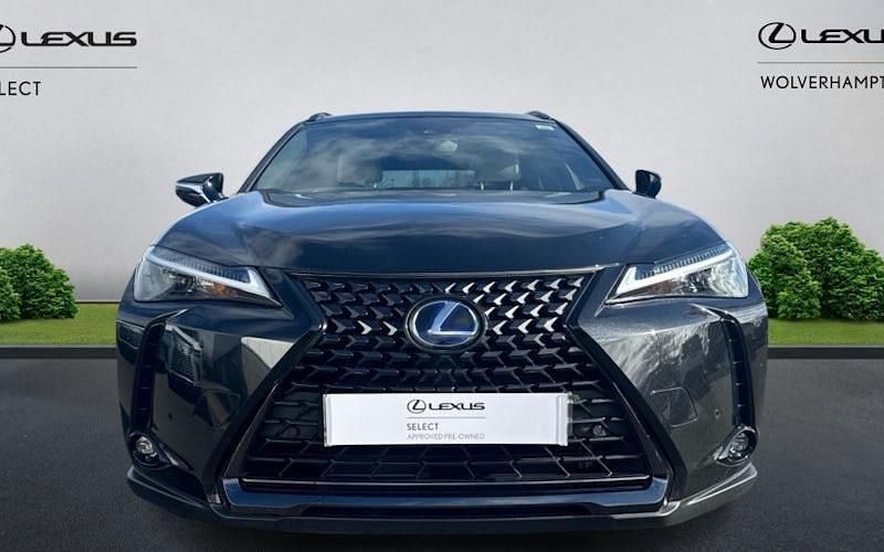 Used Lexus UX 250h 184 HP (135 kW) 2024 SUV
