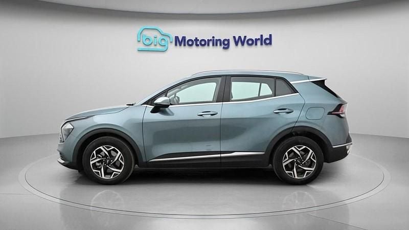 Used Kia Sportage 157 HP (115 kW) 2025 Grey SUV