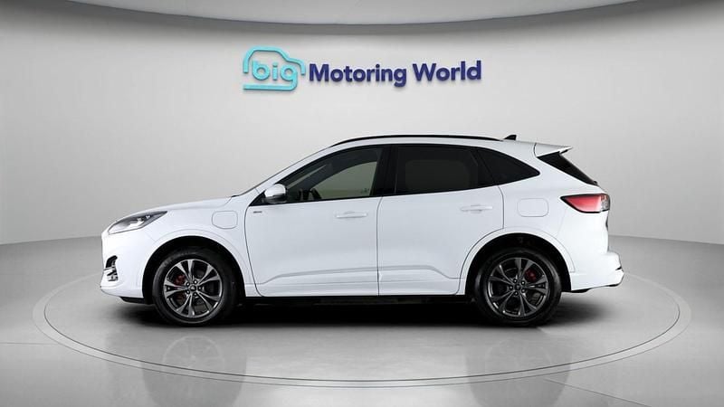 Used Ford Kuga ST-Line 222 HP (163 kW) 2023 White SUV