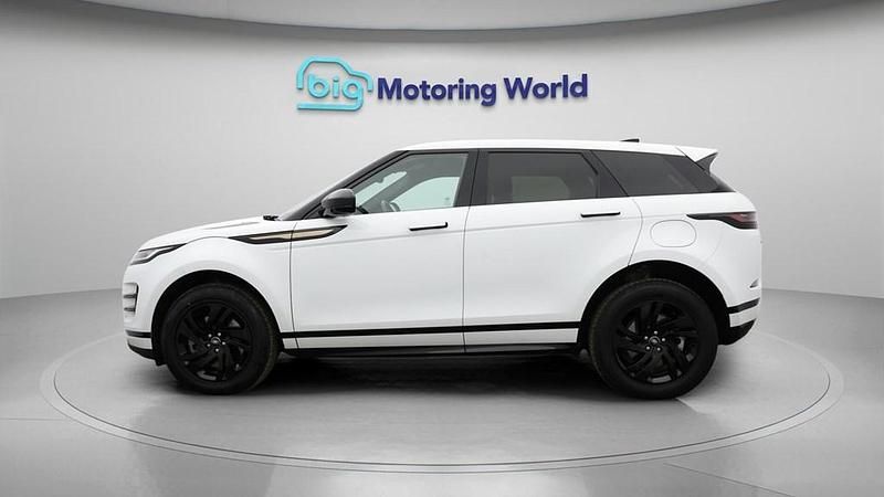 Used Land Rover Range Rover evoque R-Dynamic 309 HP (227 kW) 2023 White SUV