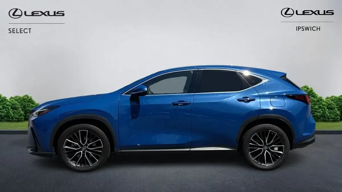 Used Lexus NX450h+ 2022 Blue SUV