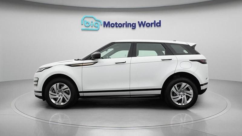 Used Land Rover Range Rover evoque R-Dynamic 309 HP (227 kW) 2023 White SUV